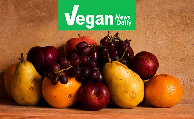 Vegan News Daily Contact Us